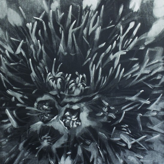 Untitled | intaglio, etching, aquatint | 50x50 cm